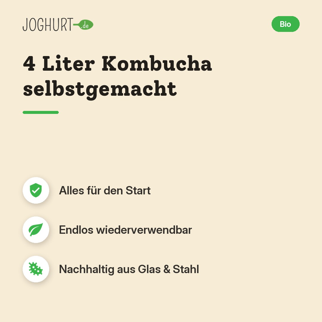 Kombucha Starterpaket – Vorteile · kachel A