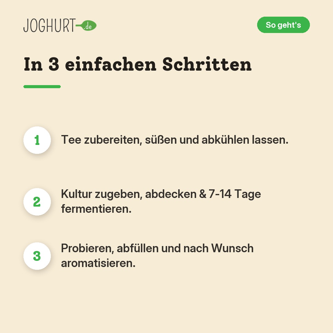 KefirKo Bio Kombucha Starter – So geht's · kachel B