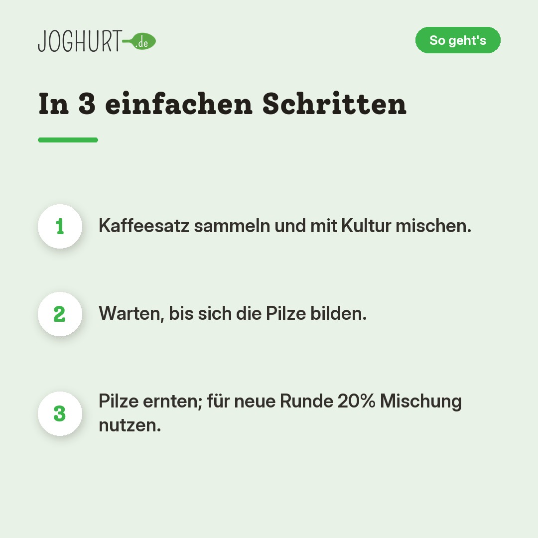 Austernpilze Growkit – So geht's · kachel B