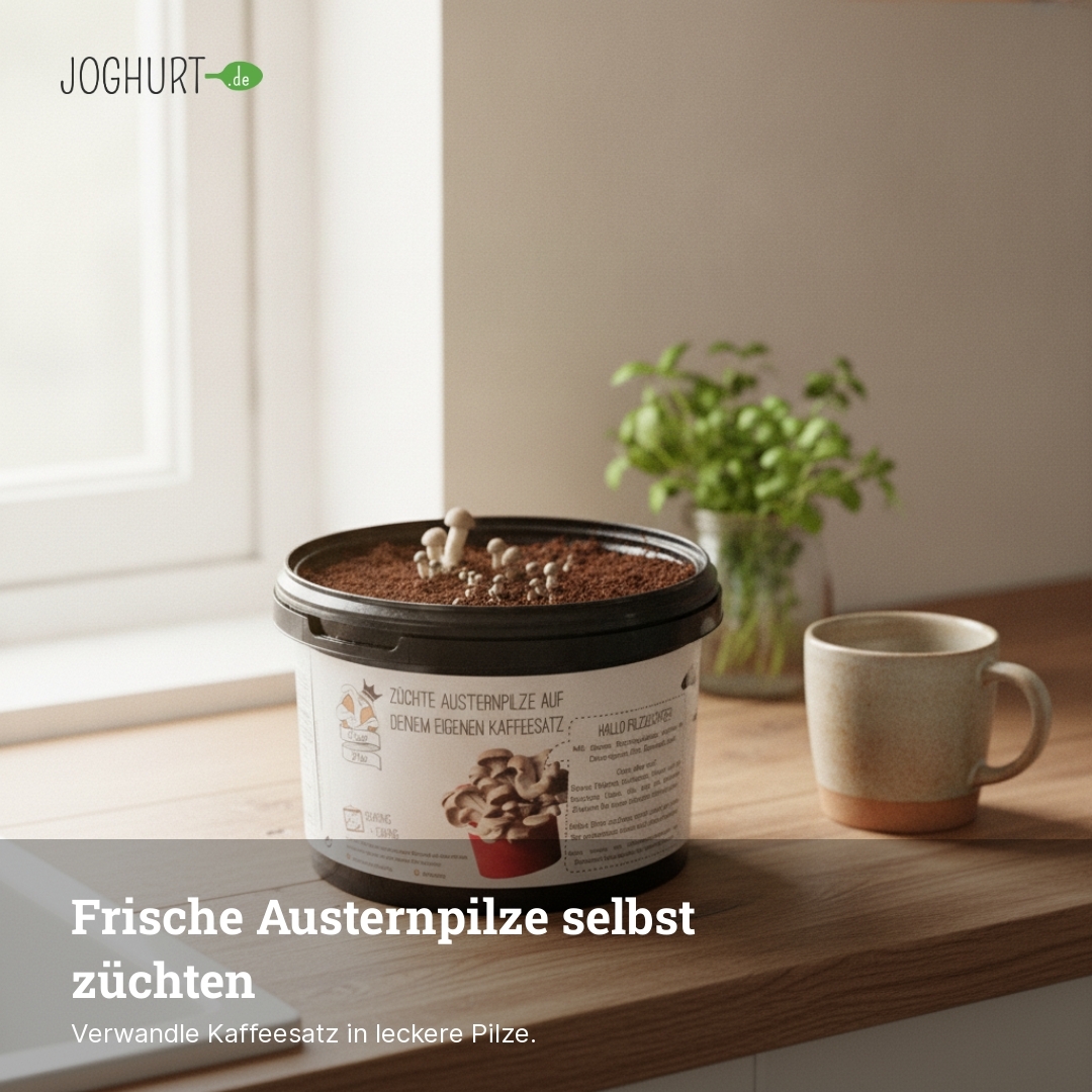 Austernpilze Growkit – Lifestyle · kachel C