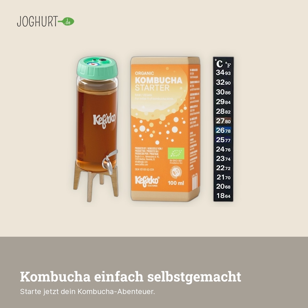 Kombucha Starterpaket – Lifestyle · kachel C