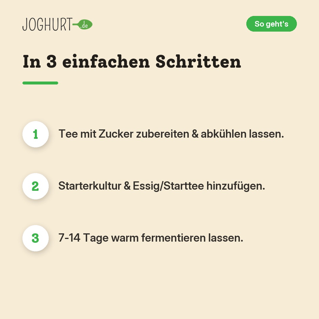Kombucha – So geht's · kachel B
