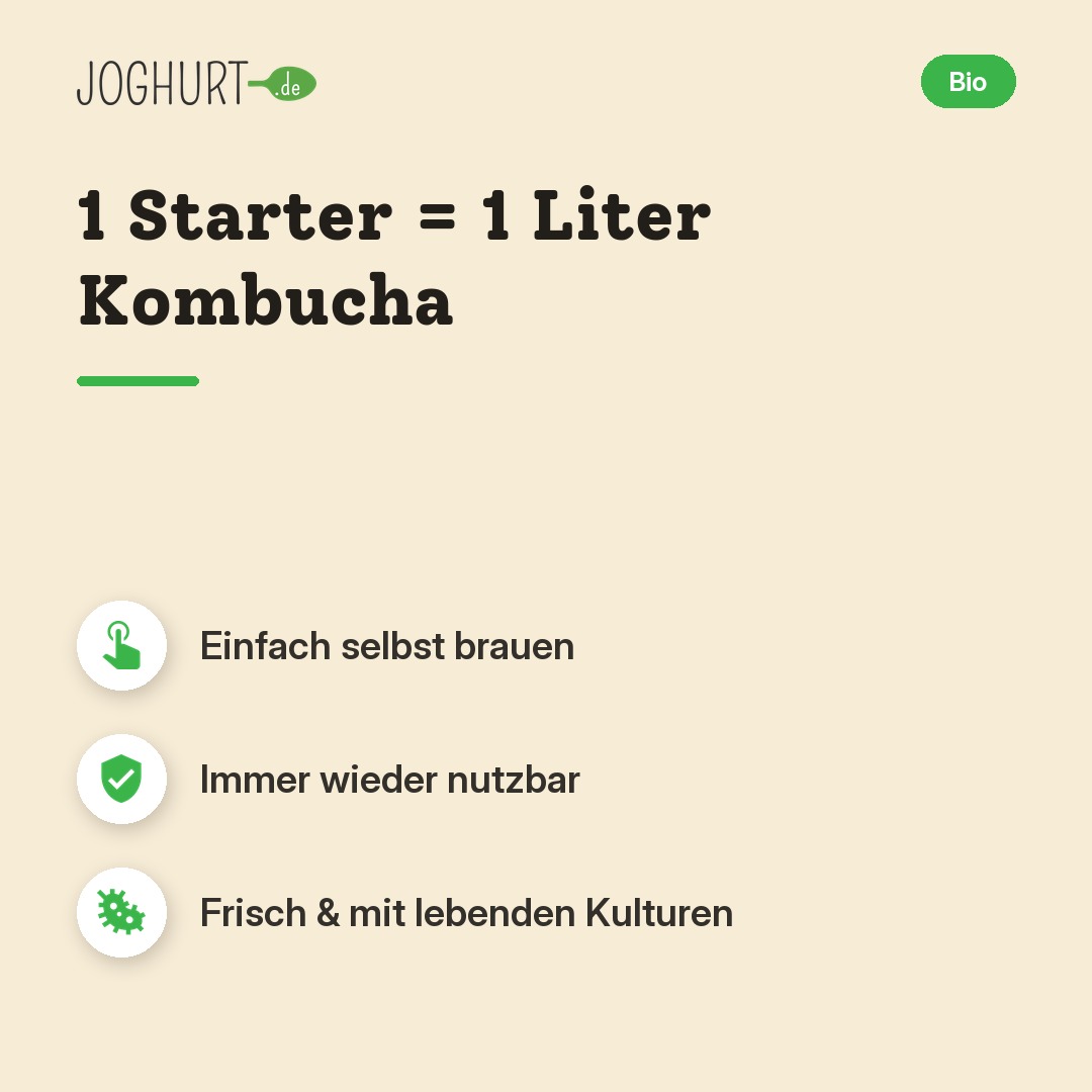 KefirKo Bio Kombucha Starter – Vorteile · kachel A