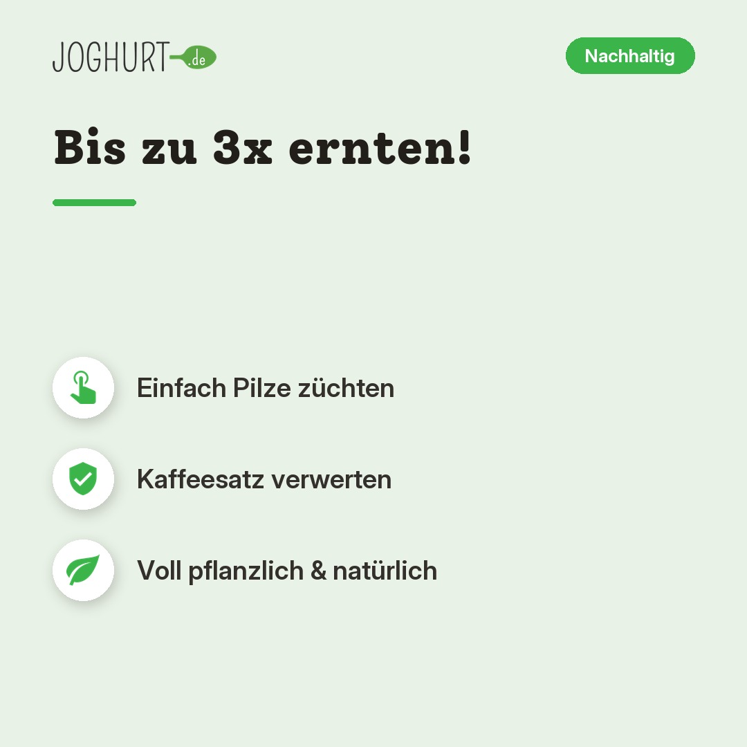 Austernpilze Growkit – Vorteile · kachel A