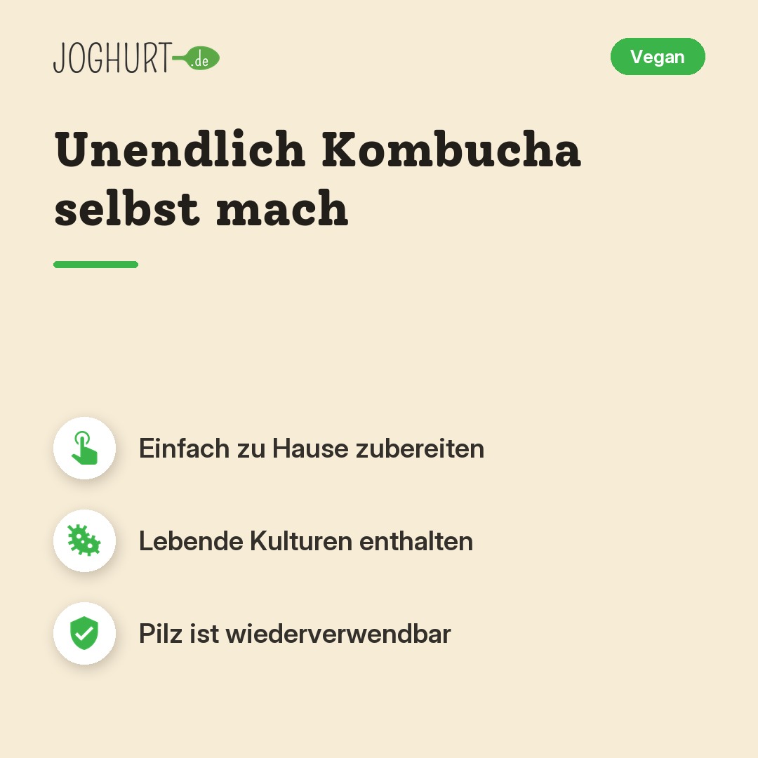 Kombucha – Vorteile · kachel A