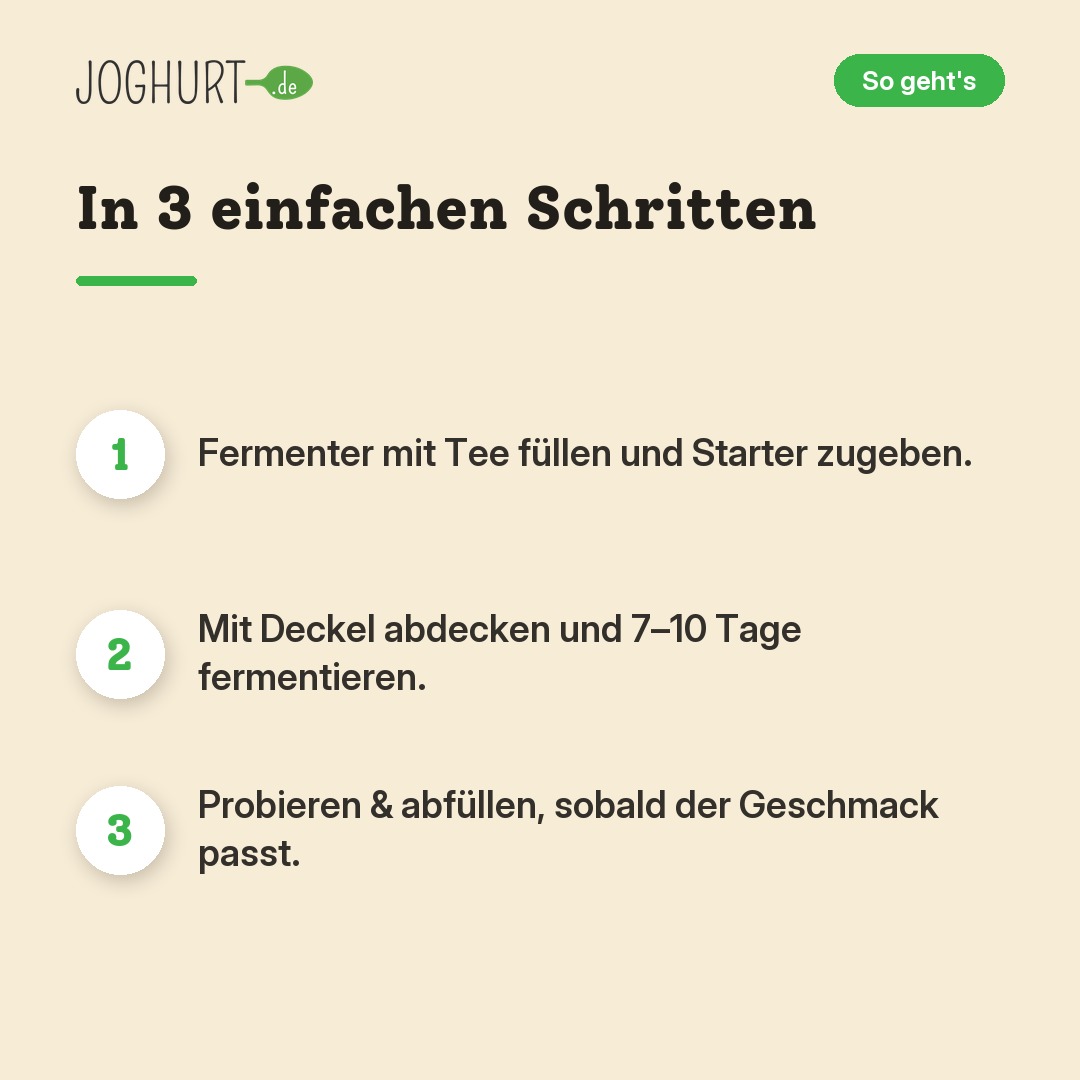 Kombucha Starterpaket – So geht's · kachel B