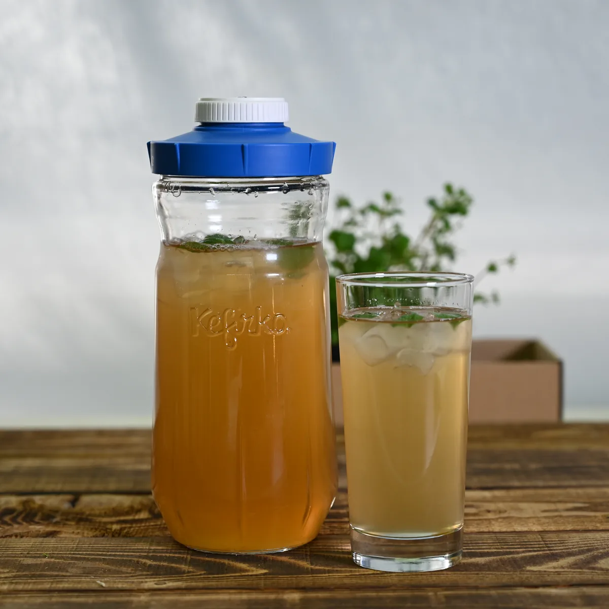 KefirKo Vorratsflasche mit fermentiertem Getränk und Glas
